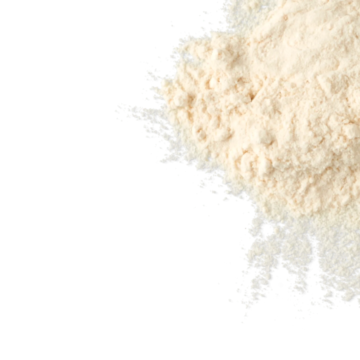 Whey Protein Concentrate (1lb.)